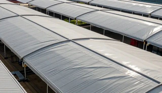 如何通过流量分析优化GEO搜索服务效果